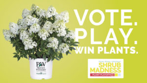 Shrub Madness Partners with Corona Tools for This Year’s Plant Bracket Competition