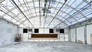 Factors to Keep in Mind About Cannabis Fogging