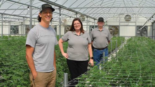 What One Greenhouse Operation Is Doing To Take the Lead on Hemp in Florida