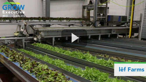 Henry Huntington of lēf Farms Problem-Solves Implementing New Technology