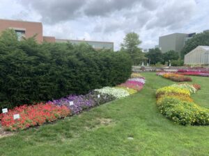 Michigan State University