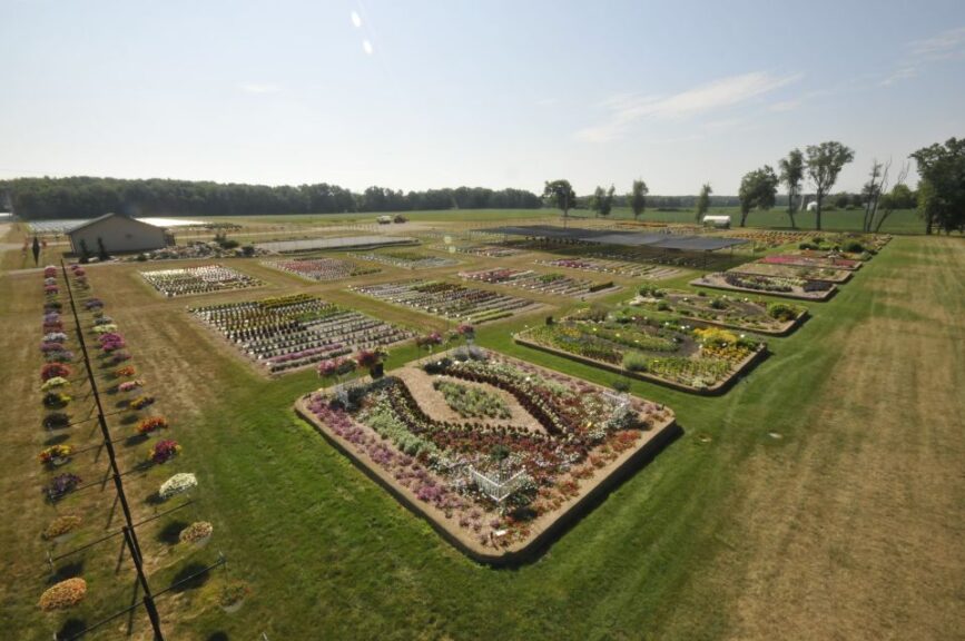 17. Why the Raker-Roberta's 2021 Field Trials Were a Welcome Return to Normal