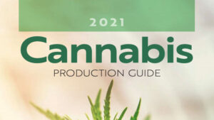 2021 Cannabis Production Guide: 6 Ways to Optimize Yield and Quality