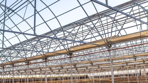 Need to Hire a Greenhouse Contractor? Here Are Some Tips to Consider