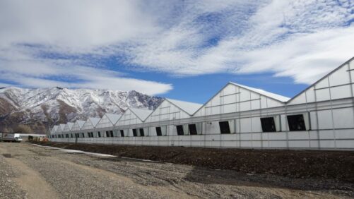 Lessons Learned From New Greenhouse Projects