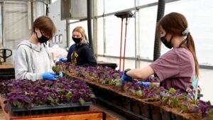 MSU Providing Green Industry-Specific Training Videos on Airborne Disease Prevention