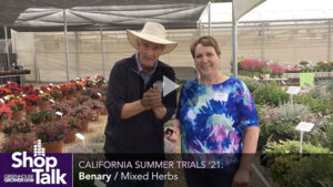 2021 California Summer Trials: Herbs at Ernst Benary of America (Video)