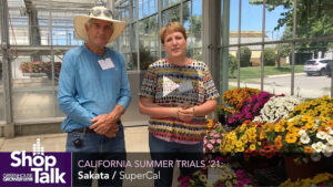 2021 California Summer Trials: A Closer Look at SuperCal from Sakata (Video)