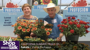 2021 California Summer Trials: New Releases in Sakata’s Zinnia Profusion Series (Video)