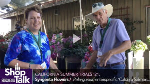 Highlights From Syngenta Flowers at 2021 California Summer Trials (Video)