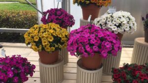 All the Highlights You Need From the First Two Days of the 2021 California Summer Trials