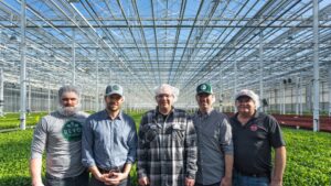 How These Growers Are Making Waves in Greenhouse Vegetables