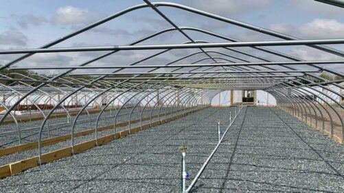 Why Plant Shortages Are the Hort Industry’s Biggest Problem Today