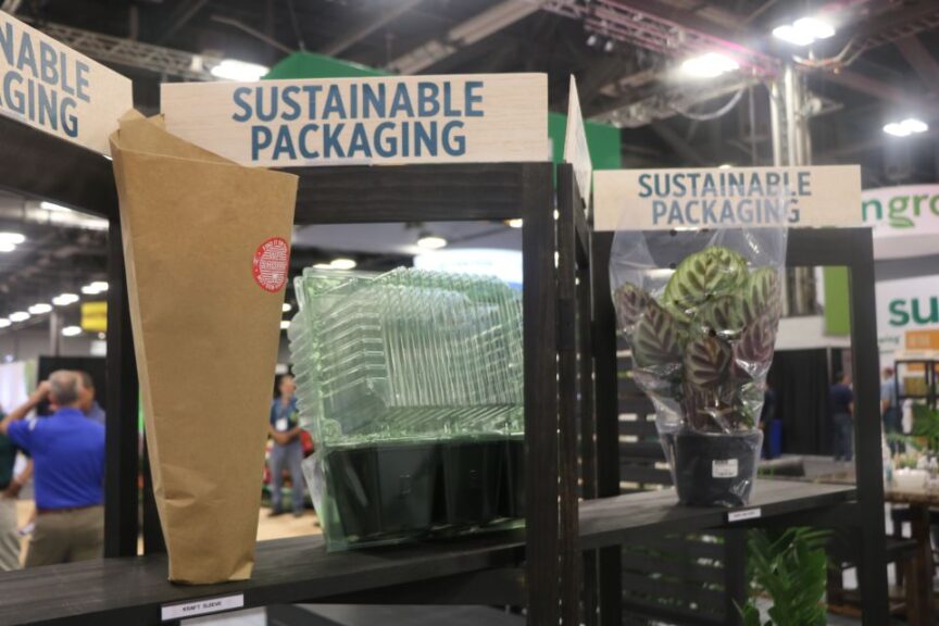 Sustainable Packaging from A-ROO Company