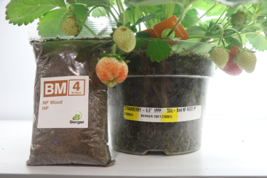 BM2 Natural Wood Fiber from Berger