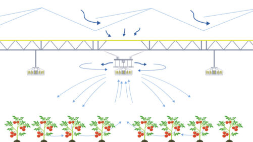 ClimaFlow System Allows for Homogeneous Growing Climate for Greenhouses