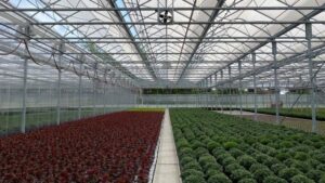 Greenhouse Technology Distributor Boosts Structures, Lighting Offerings