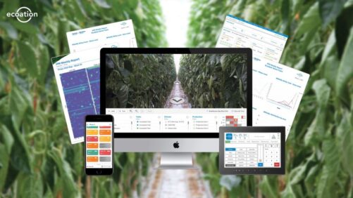 AI-Based Greenhouse Crop Management System Earns National Support