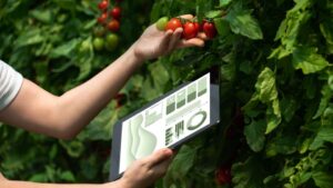 Ken Tran and Koidra Get the Tech Spotlight