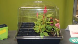 New Products That Stole the Spotlight at Cultivate’21