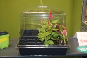 7-Inch Vented Humidity Dome for a Half Flat Tray from Landmark Plastic