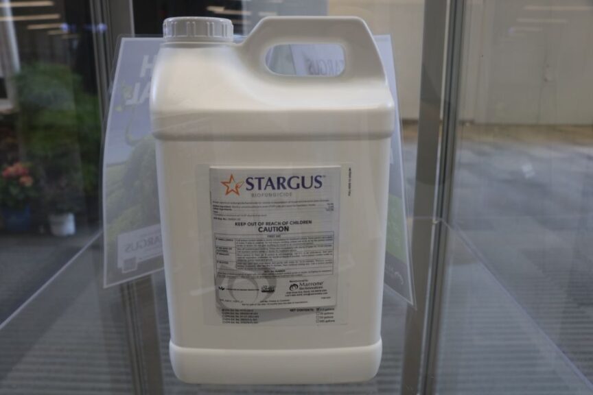 Stargus Biofungicide from Marrone Bio Innovations