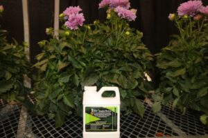 MycoApply EndoThrive from Mycorrhizal Applications