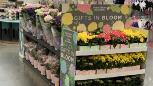 Innovator Award: One Floral Group