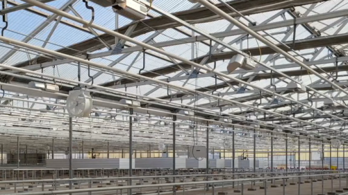 Top 100 Greenhouse Grower Expands Living Herbs Production