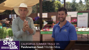 Catch Up on Everything You Missed From CAST 2021