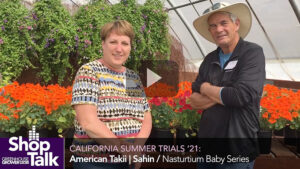 2021 California Summer Trials: A Colorful Nasturtium at Sahin Nursery