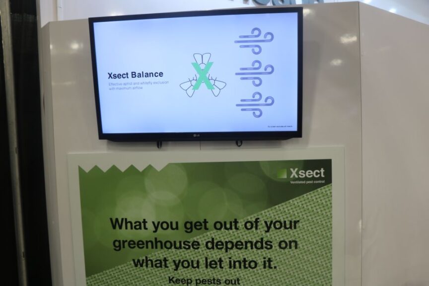 Xsect Balance from Ludvig Svensson