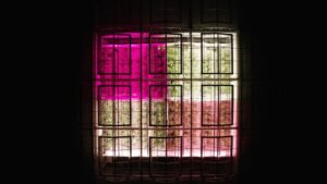 How You Can Translate Lighting Research Results to Your Greenhouse