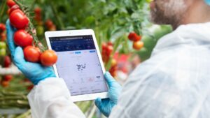 The Collective Power of Greenhouse Data and Plant Science