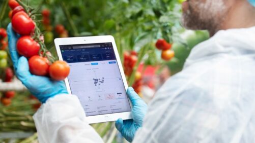 The Collective Power of Greenhouse Data and Plant Science