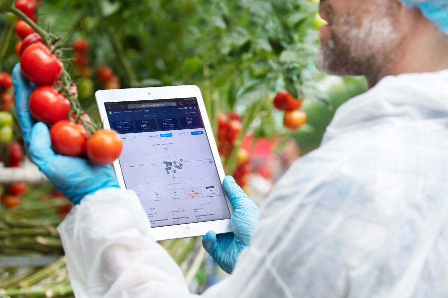 The Collective Power of Greenhouse Data and Plant Science - Greenhouse  Grower