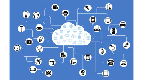 Listen Closely! Your Plants Might Be Asking You for Help