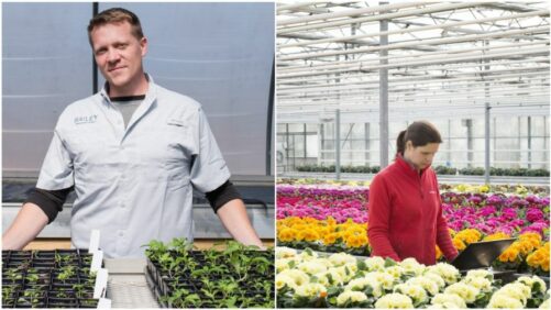 Meet the Breeders: Bailey, Schoneveld Breeding