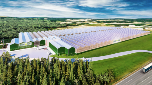 The Keys to Building a Sustainable Ecosystem for Indoor Produce