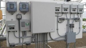 Designing a Cannabis Greenhouse? Here Are the Features You’ll Need