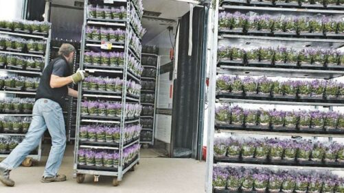 How Greenhouse Growers Can Plan for Delays in the Supply Chain