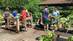 Three Horticulture Therapy Gardens Earn Grants