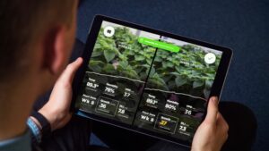 Recent Merger Unites Artificial Intelligence, Management Platform Companies