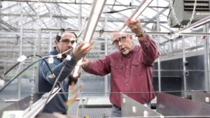 Candidus Is Lighting the Way to Efficient Greenhouse Production