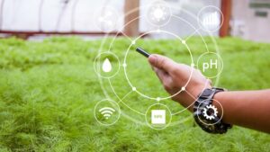 How Horticulture Can Benefit From the Internet of Things