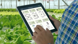 ERP System Implementation: Pitfalls and Hidden Costs to Avoid