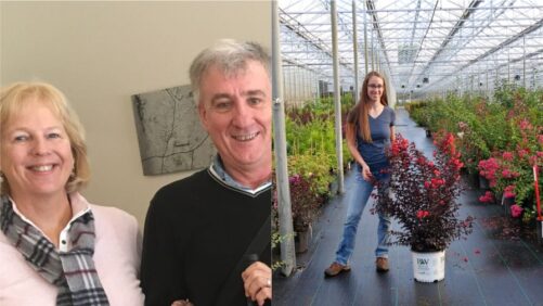 Meet the Breeders: Suntory Flowers, Spring Meadow Nursery