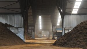 Current and Future State of the Growing Media Industry