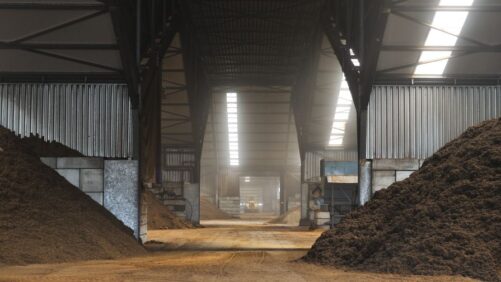 Current and Future State of the Growing Media Industry