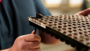 Horticulture Supply Companies Boost Grower Relationship Teams